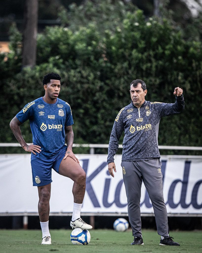 Santos recebe pressionado Coritiba para abrir vantagem na liderança da Série B