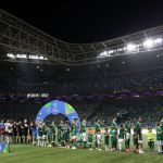 Palmeiras cresce 44% em um ano e bate 200 mil sócios-torcedores