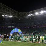 Palmeiras cresce 44% em um ano e bate 200 mil sócios-torcedores