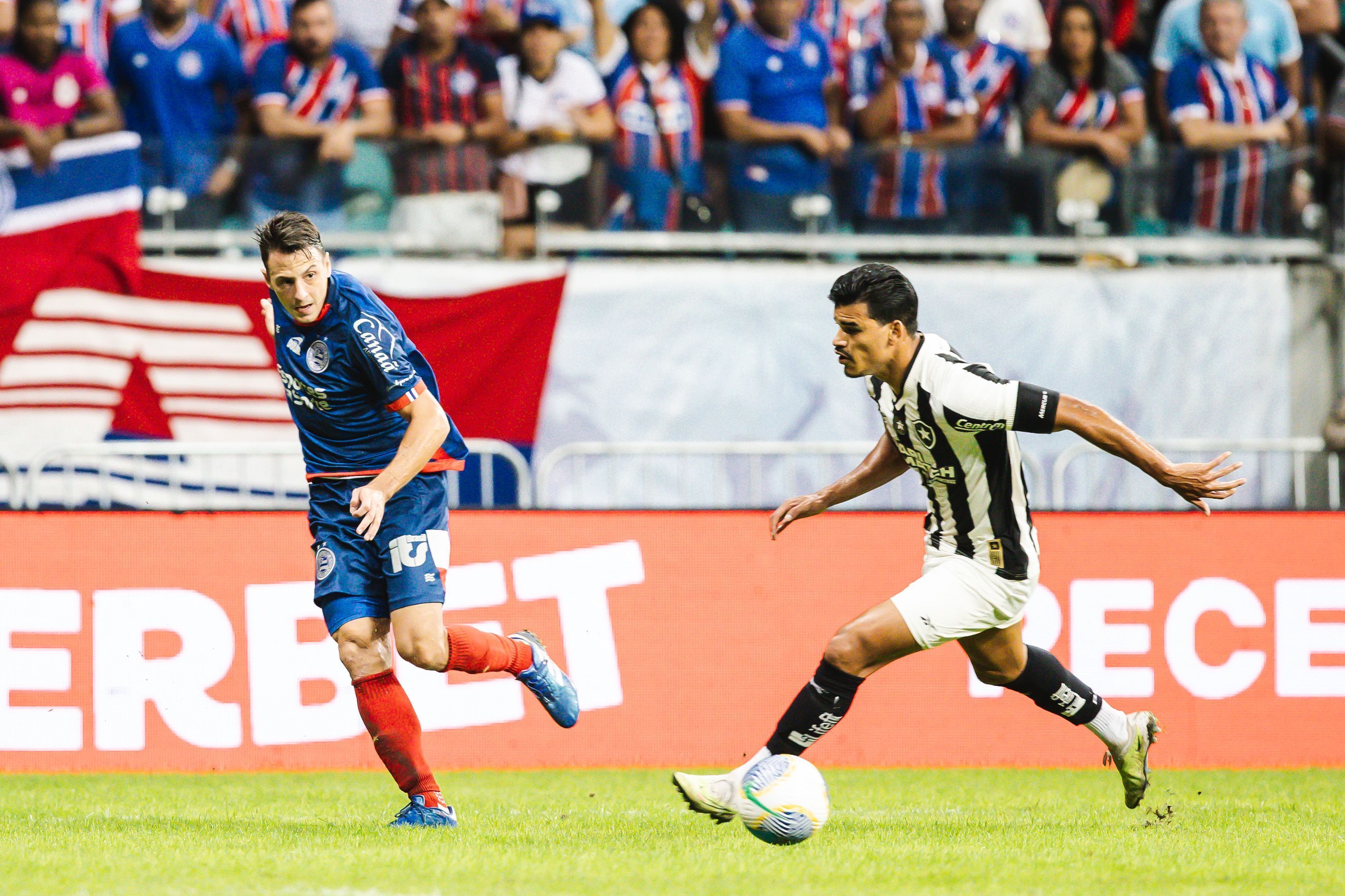 Brasileirão: Bahia defende invencibilidade em 2024 diante do Botafogo