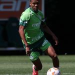 Estêvão e mais: Palmeiras deve ter reforços para decisão com Botafogo na Libertadores