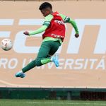 Estêvão vai a campo e pode encarar Botafogo, mas Palmeiras faz mistério