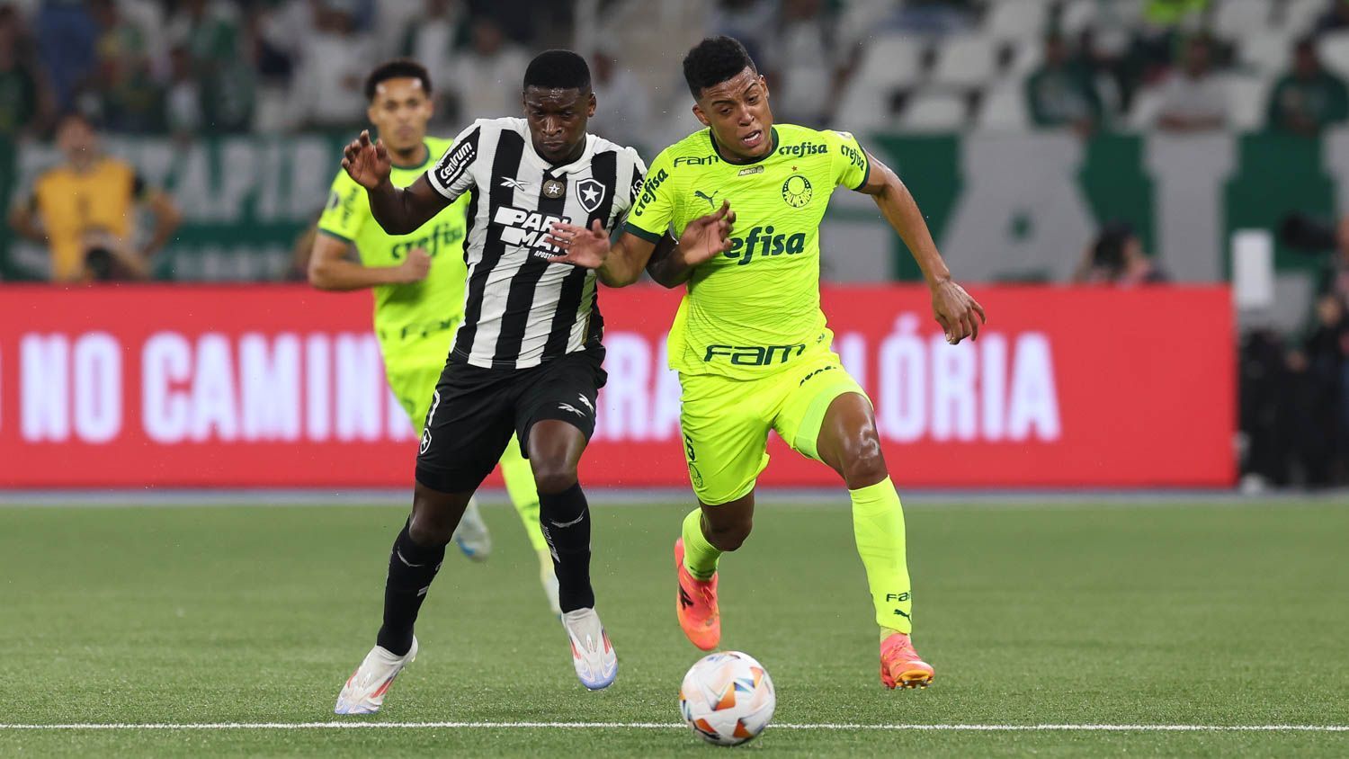 Palmeiras x Botafogo: horário e onde assistir ao vivo pela Copa Libertadores
