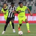 Palmeiras x Botafogo: horário e onde assistir ao vivo pela Copa Libertadores