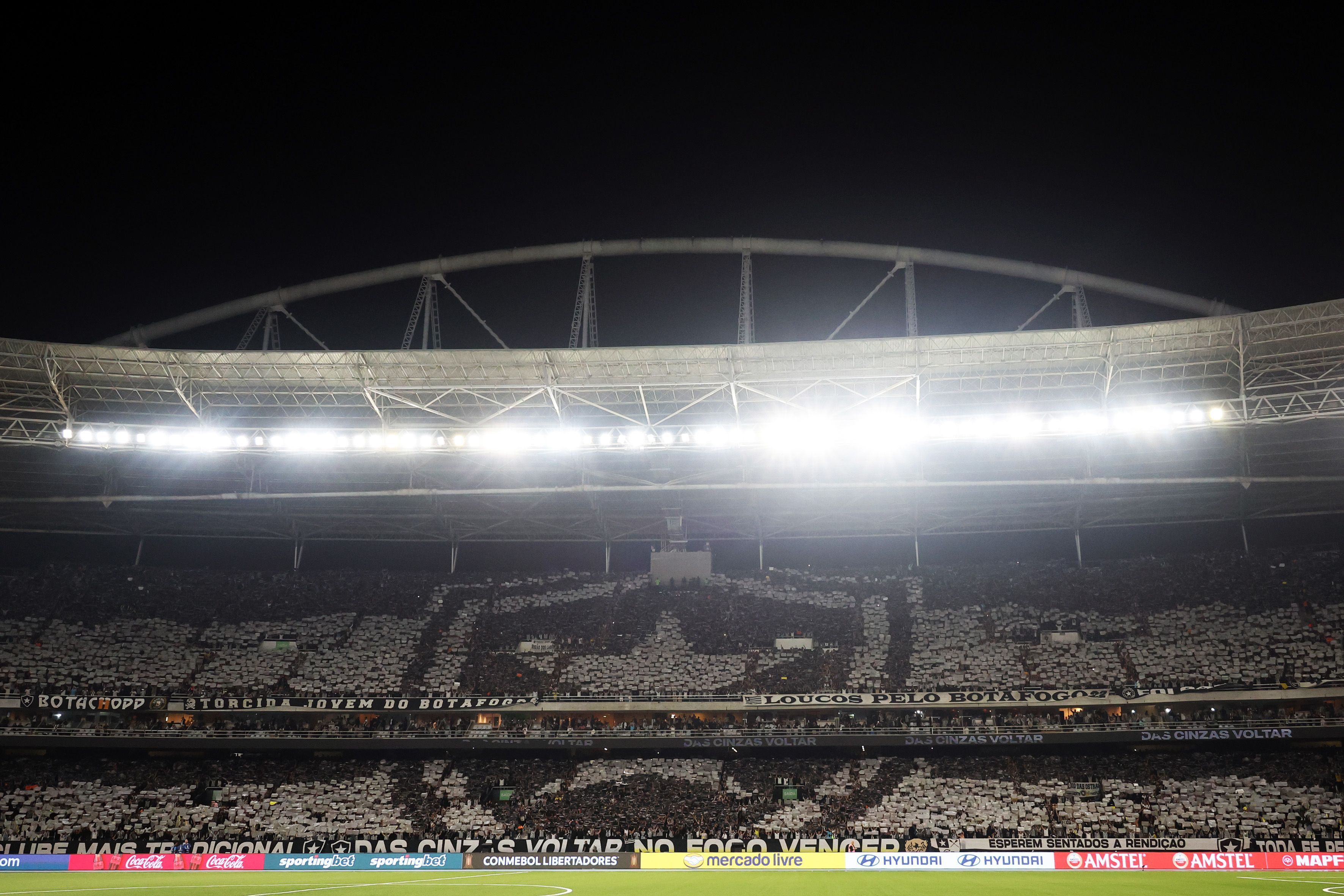 Botafogo é punido por ato racista de torcedor em jogo contra o Palmeiras