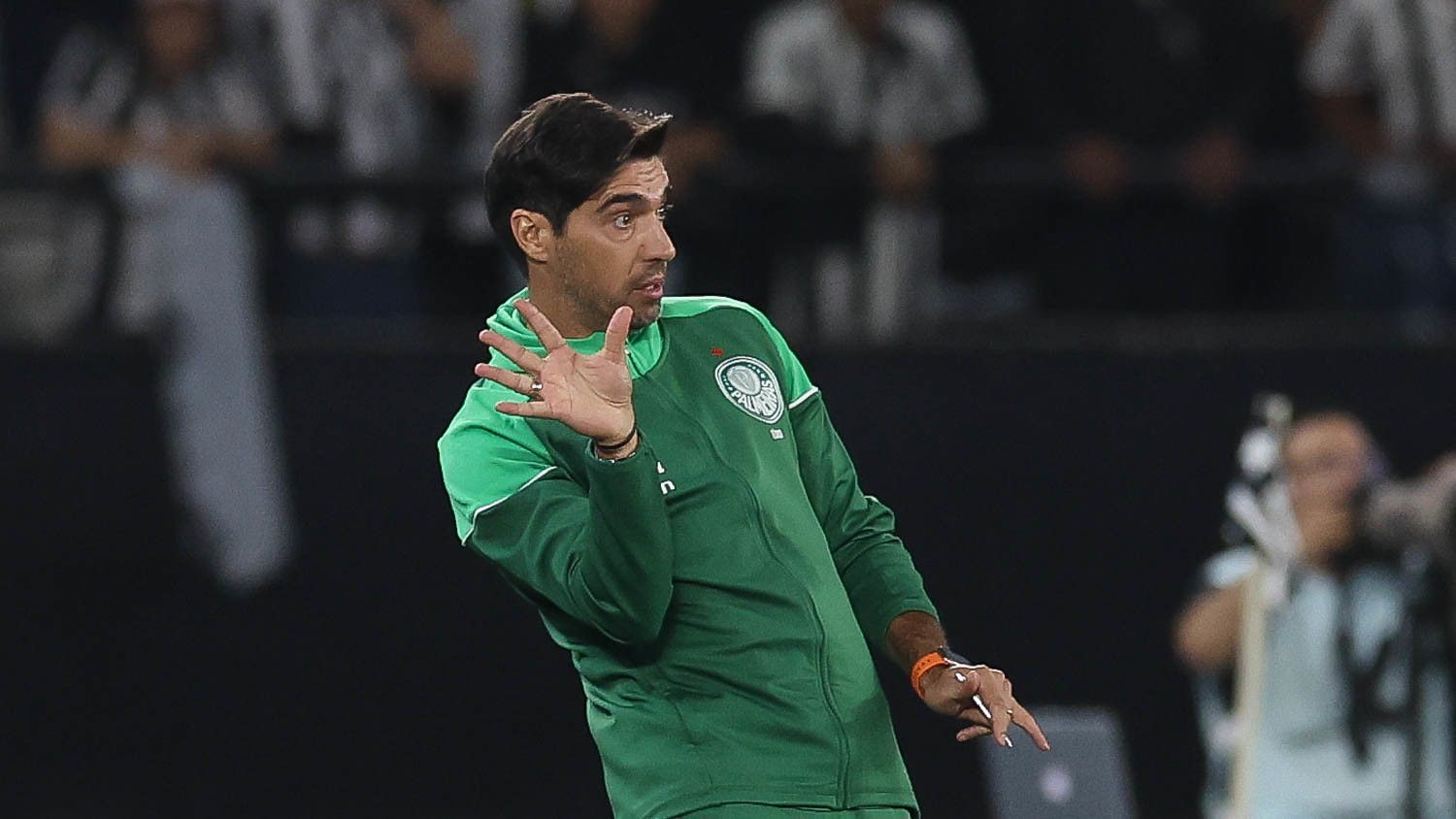 Abel elogia ataque do Botafogo, aponta erro do Palmeiras e faz promessa para decisão