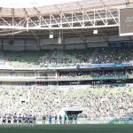 Palmeiras toma decisão após denúncia de homofobia do São Paulo em clássico