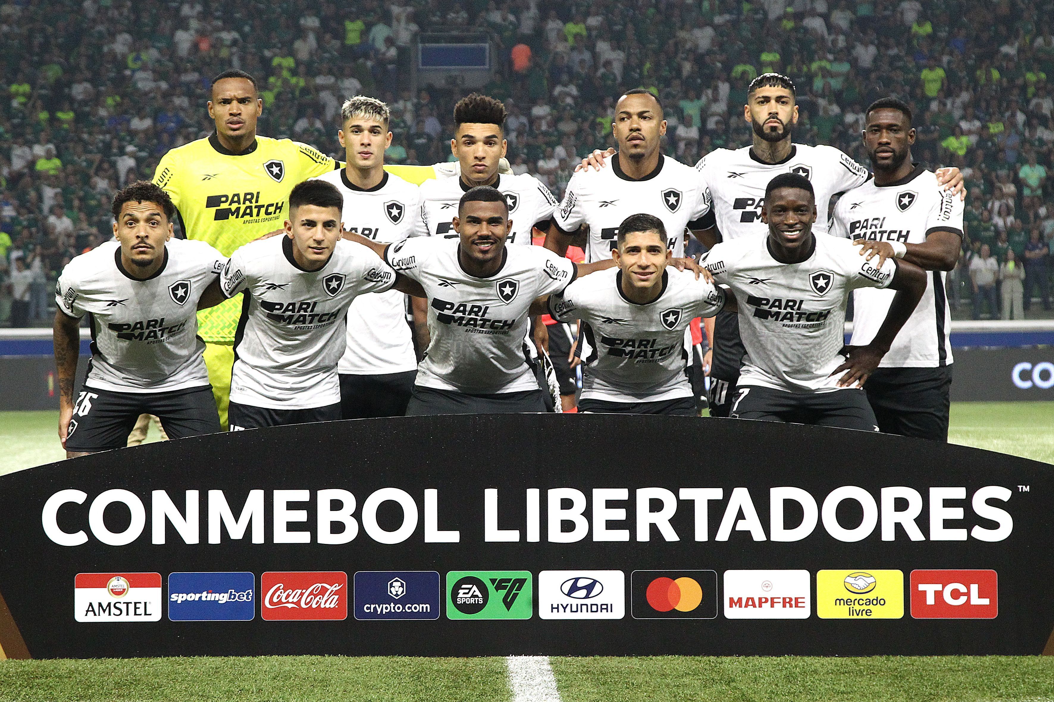 Botafogo garante premiação milionária com vaga na Libertadores