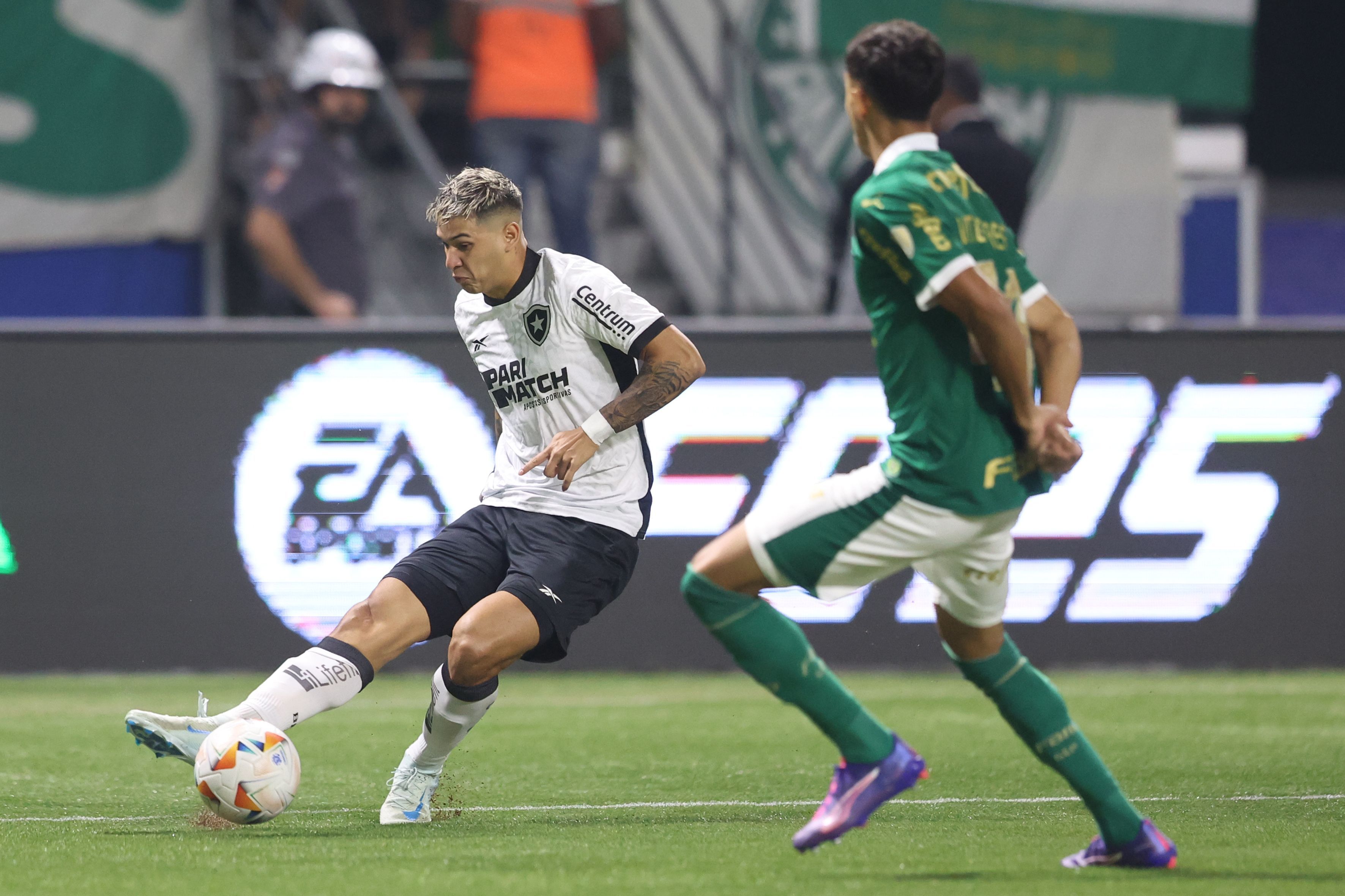 Palmeiras 2 x 2 Botafogo: veja gols e melhores momentos de jogo pela Libertadores