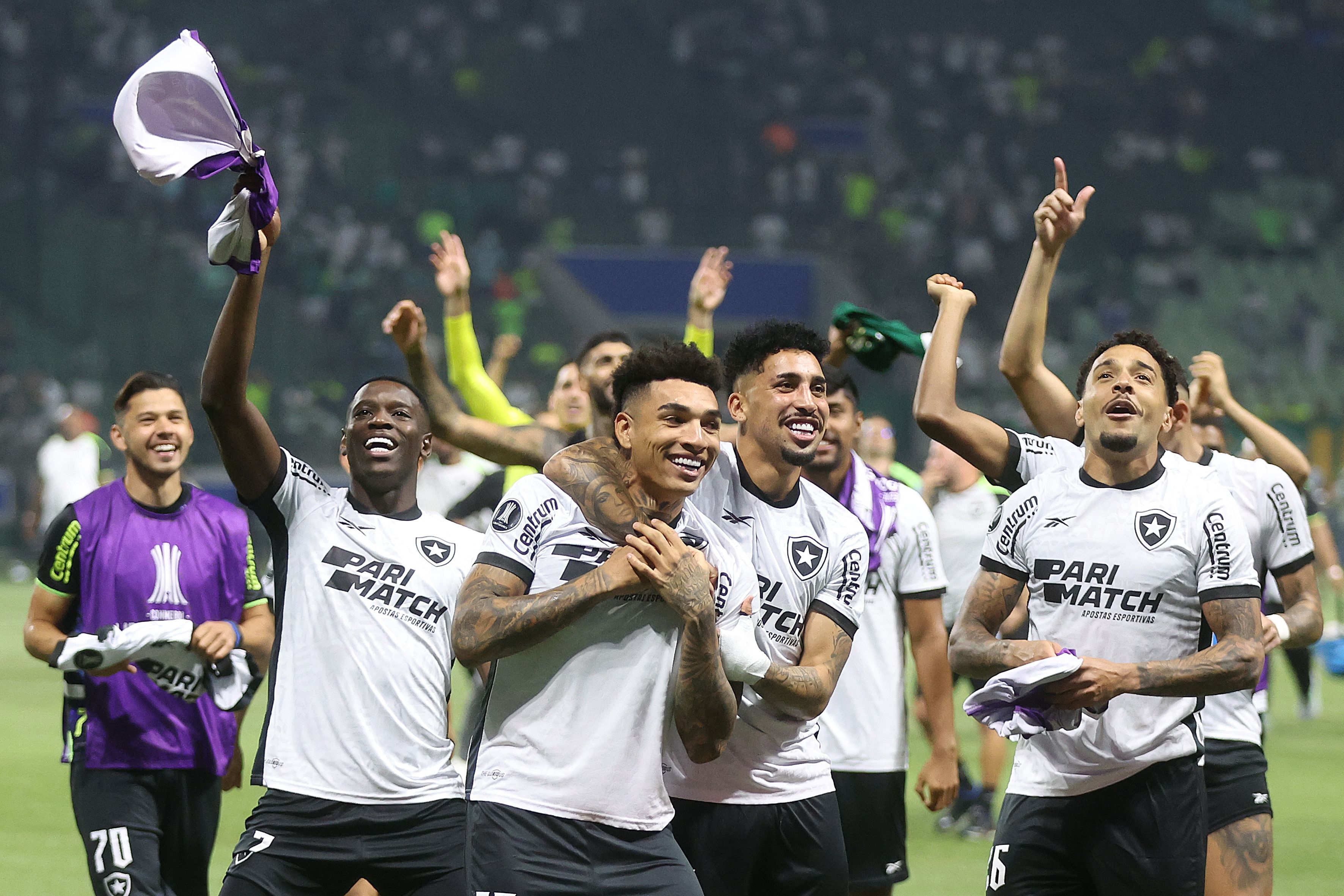 Botafogo revive trauma, mas sai fortalecido ao eliminar o 'rei da floresta'