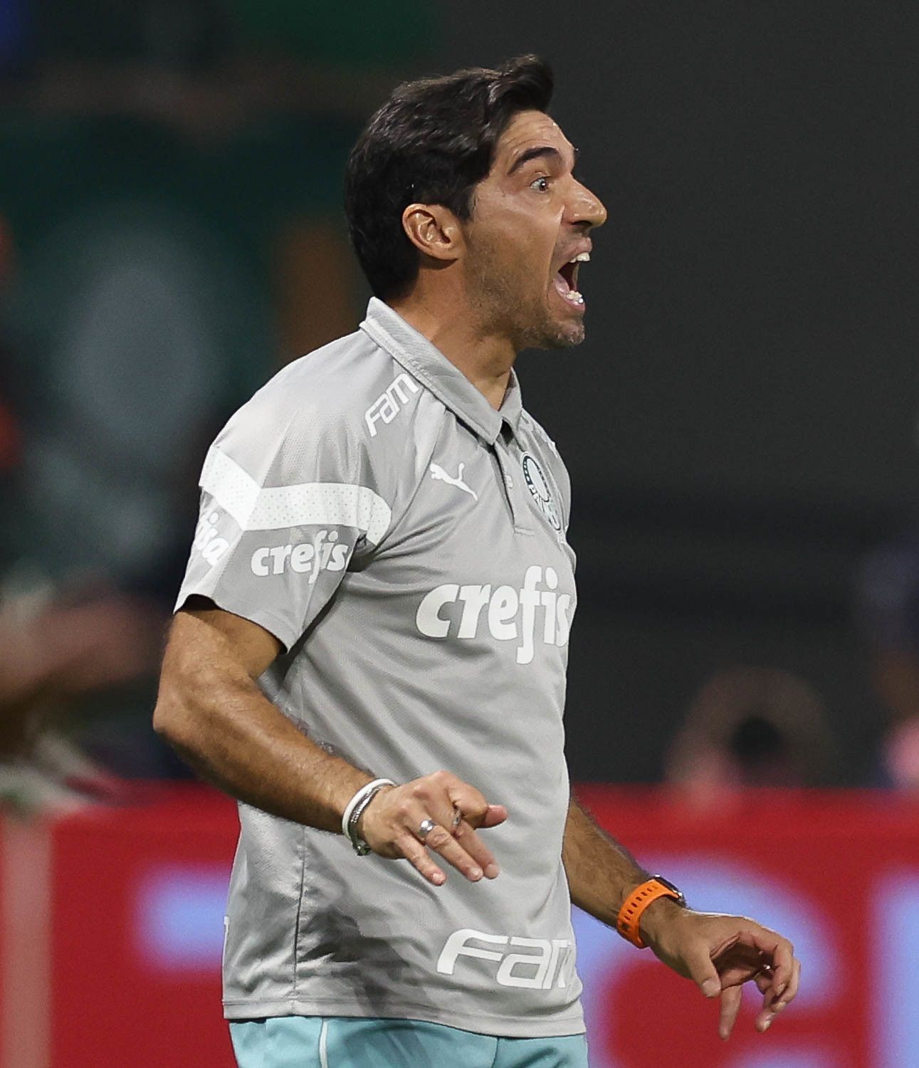 Palmeiras chega ao fim de 'super agosto' com duas eliminações e mistério de Abel