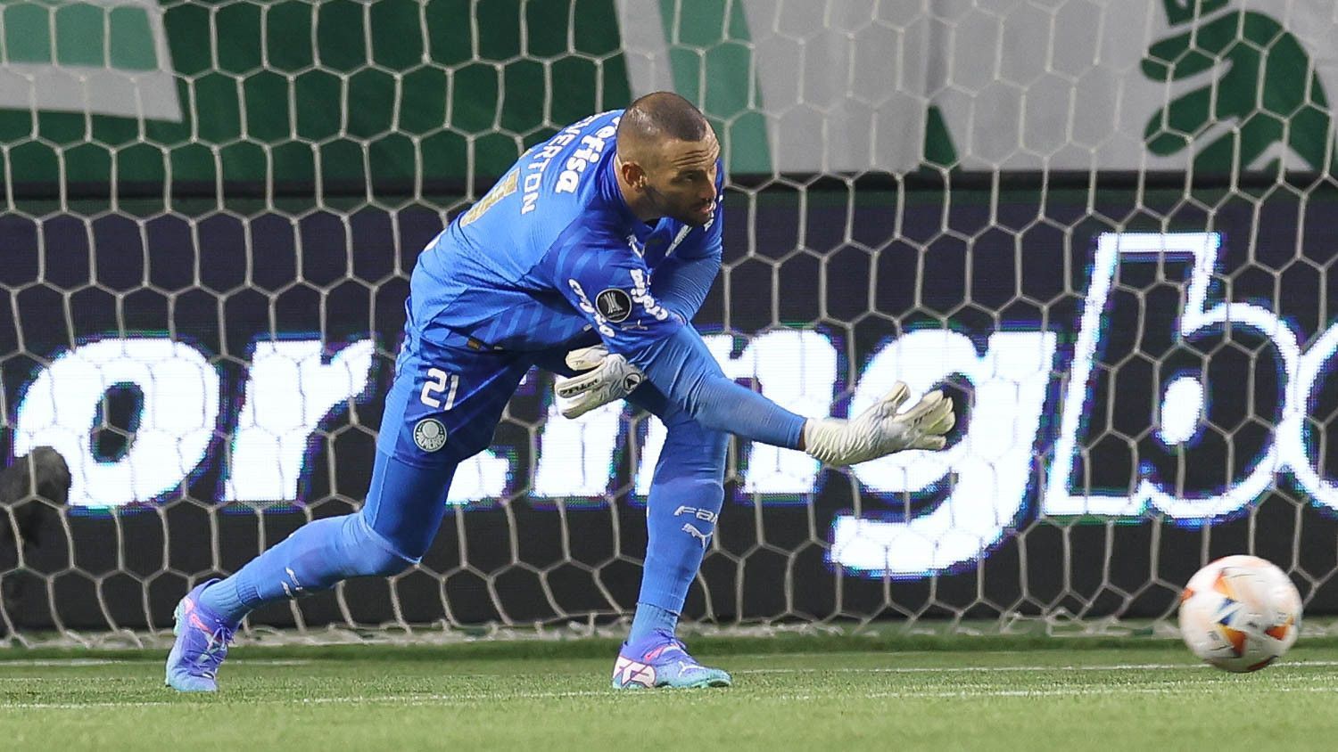 Weverton lamenta queda do Palmeiras na Libertadores e projeta retomada no Brasileiro