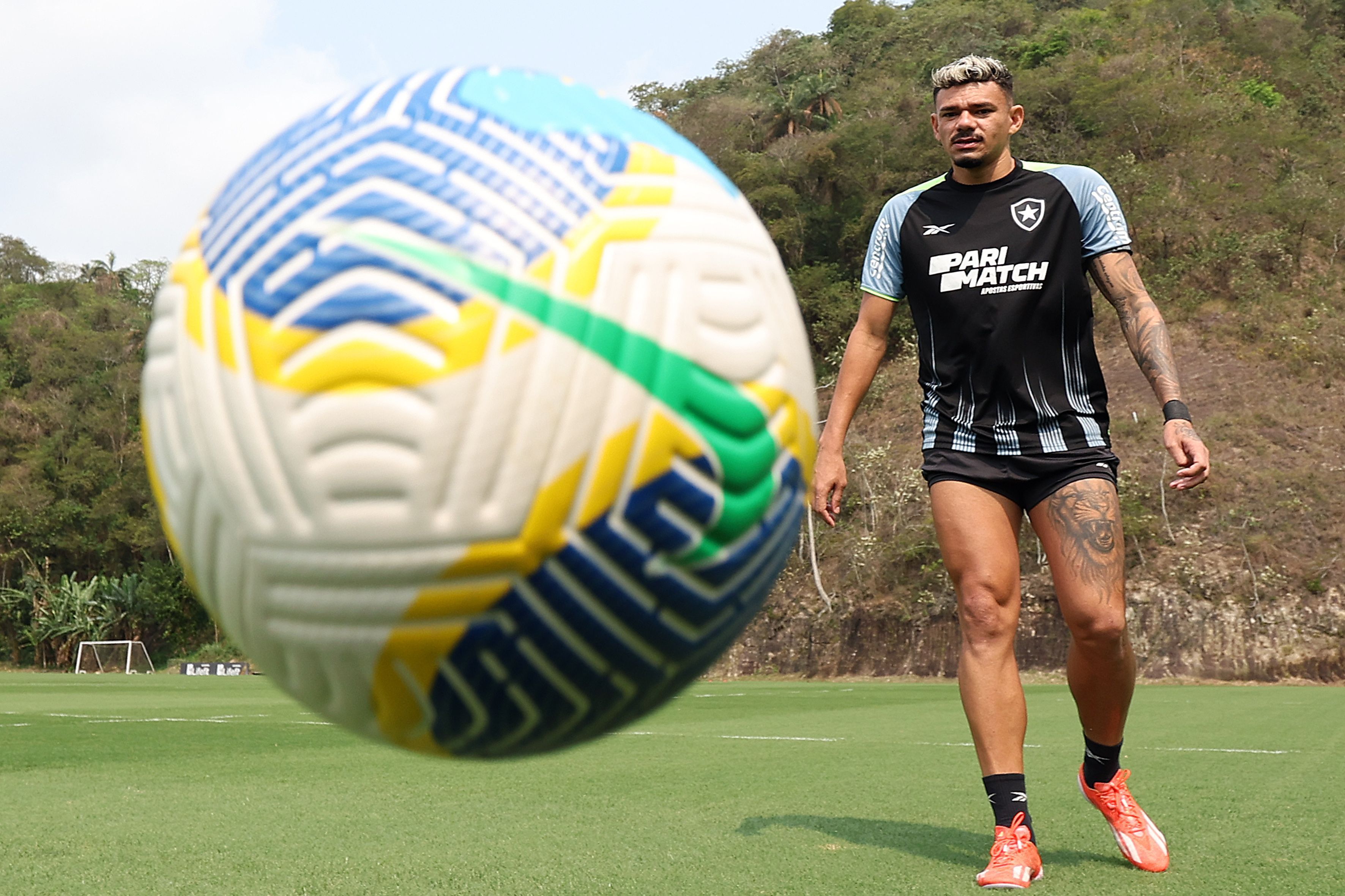 Botafogo se reapresenta e tem trunfo visando jogo com o Corinthians