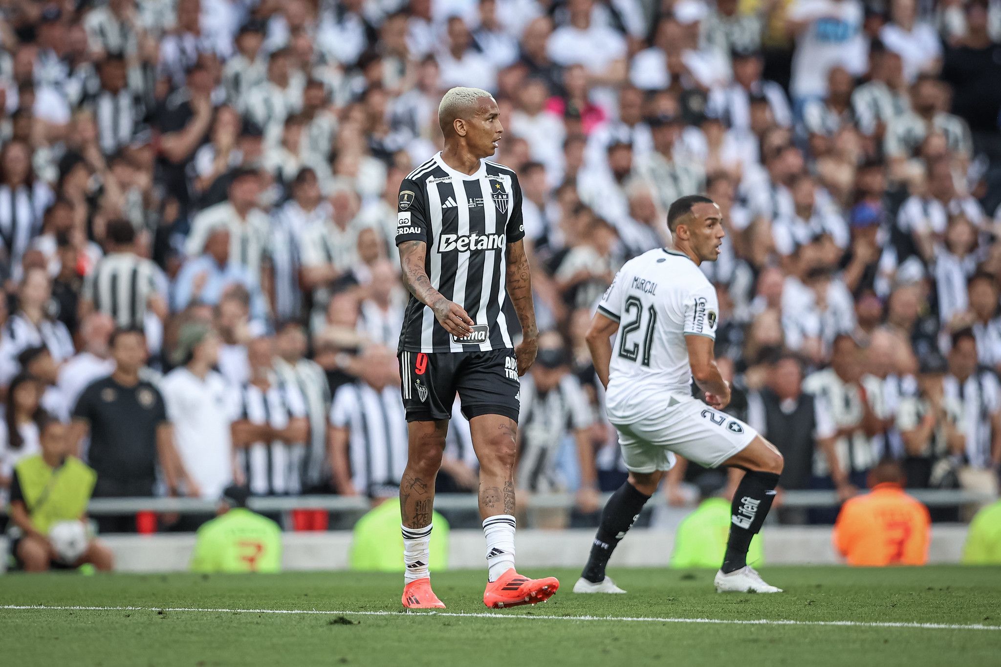 Meia revela fúria de jogador do Botafogo com Deyverson, do Atlético