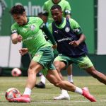 Palmeiras visita o Noroeste pelo Paulistão com volta de titulares e sem Rony