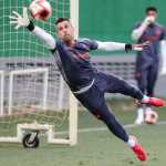 Destaque do Fluminense, veterano goleiro Fábio tem reajuste no contrato; saiba