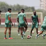 Escalação do Fluminense: Mano Menezes deve repetir time diante do Flamengo