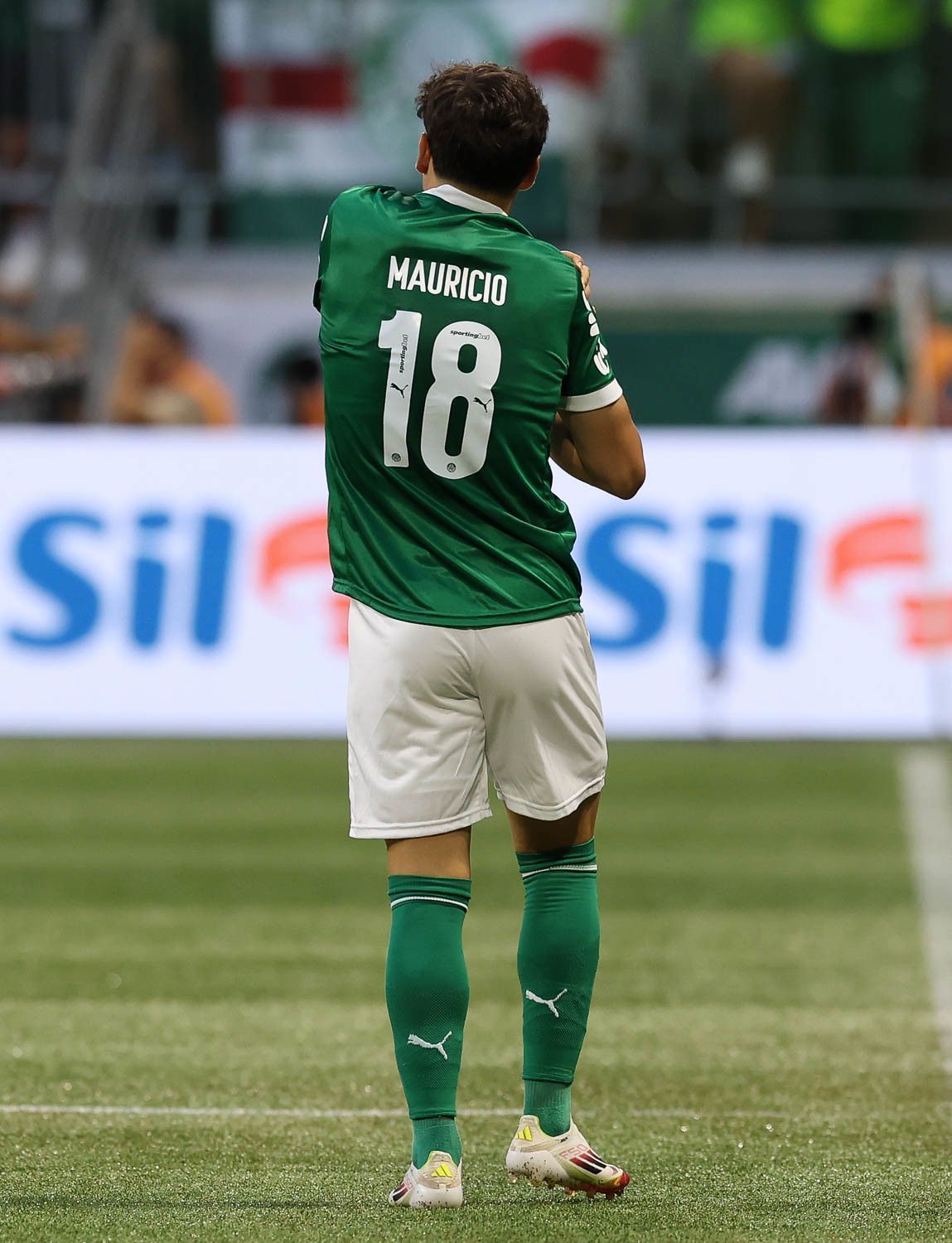 Mauricio será operado, e Palmeiras recebe boa notícia sobre Paulinho