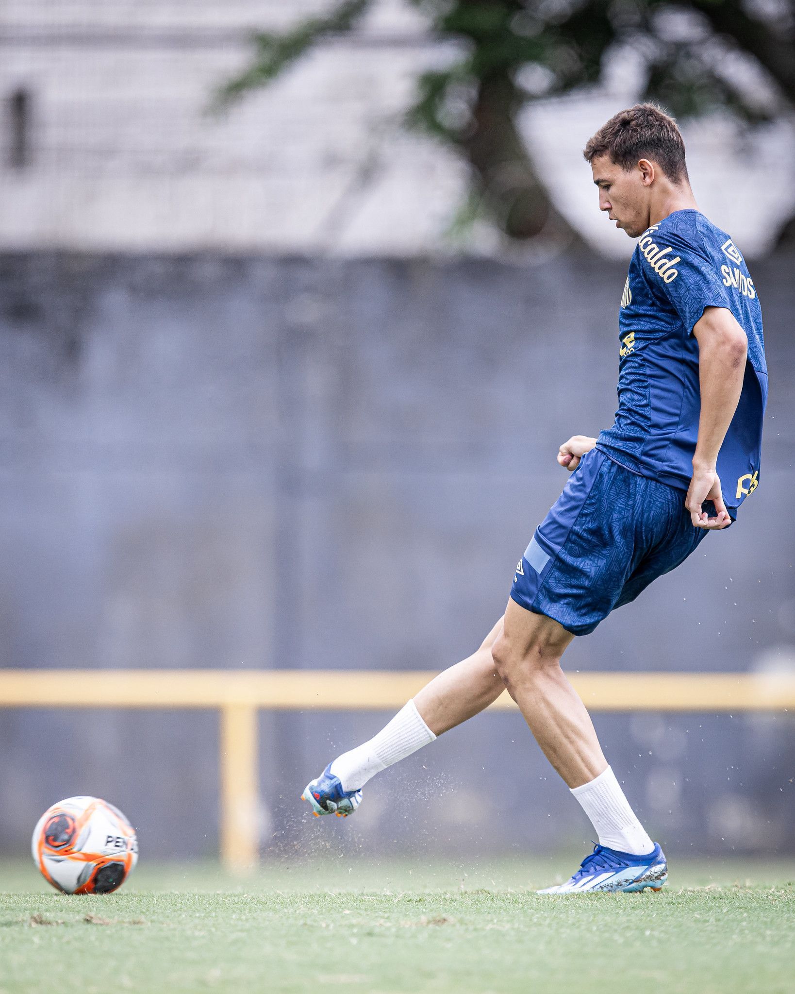 Santos deve ter novidades para enfrentar o RB Bragantino; confira
