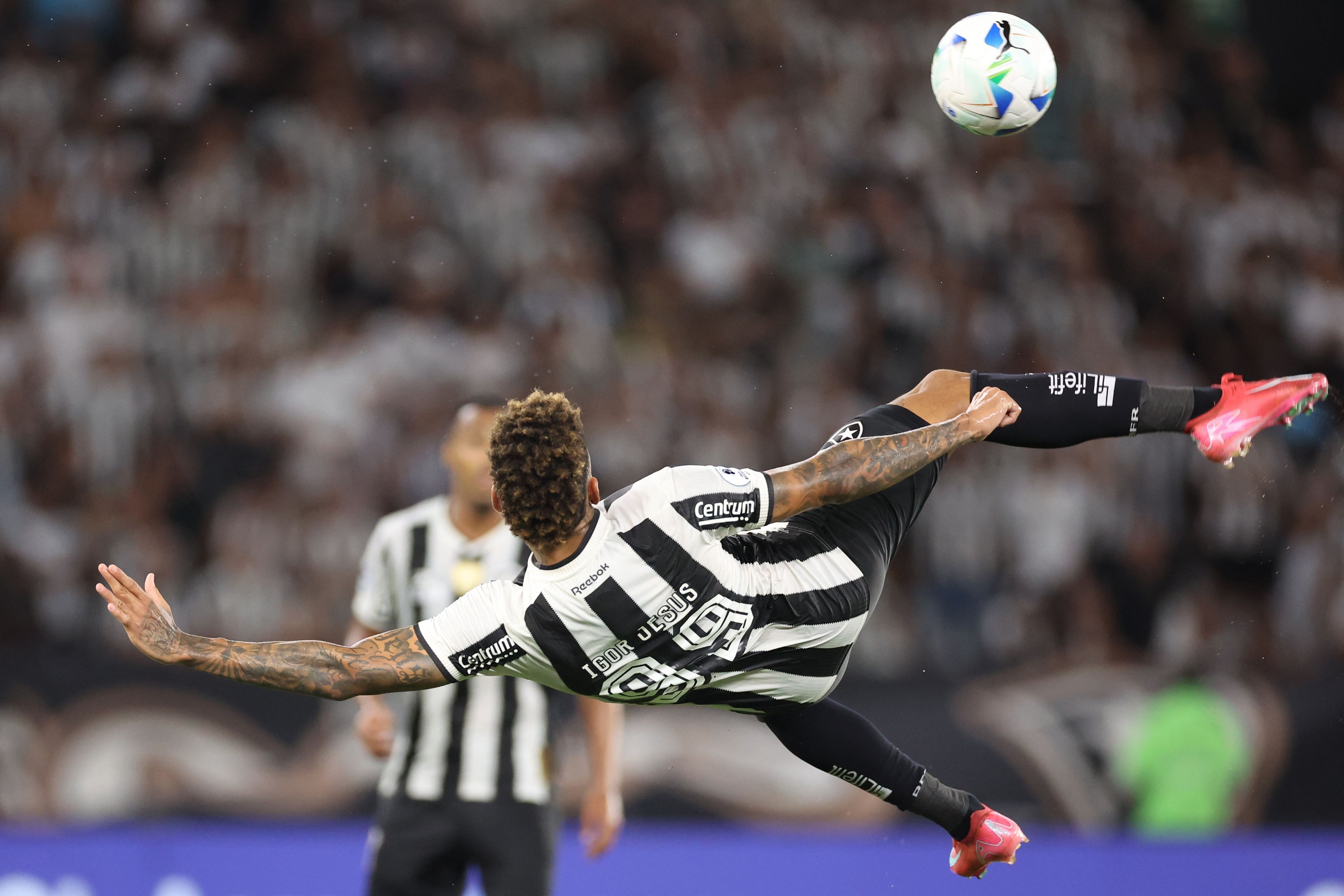 Dupla do Botafogo é pré-convocada para jogos da Seleção Brasileira