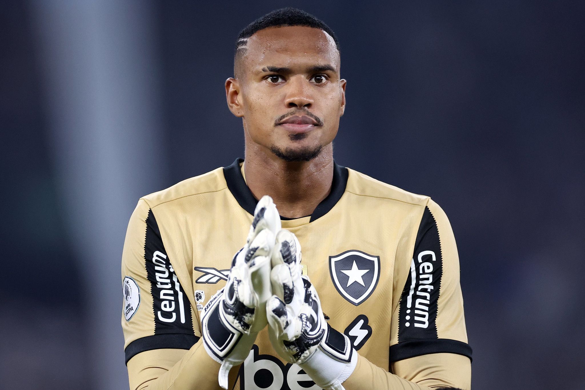 Guia do Brasileirão 2025: elenco, tabela e objetivos do Botafogo