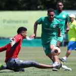 Com Vitor Roque, Gómez e Piquerez, Palmeiras deve ter força máxima contra São Paulo