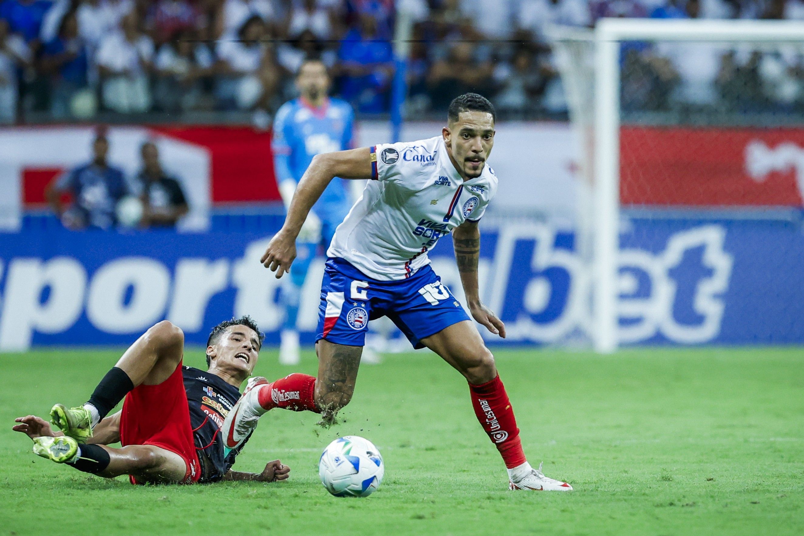 De quase rebaixado à Libertadores: Ceni e Gilberto refazem trajetória do Bahia
