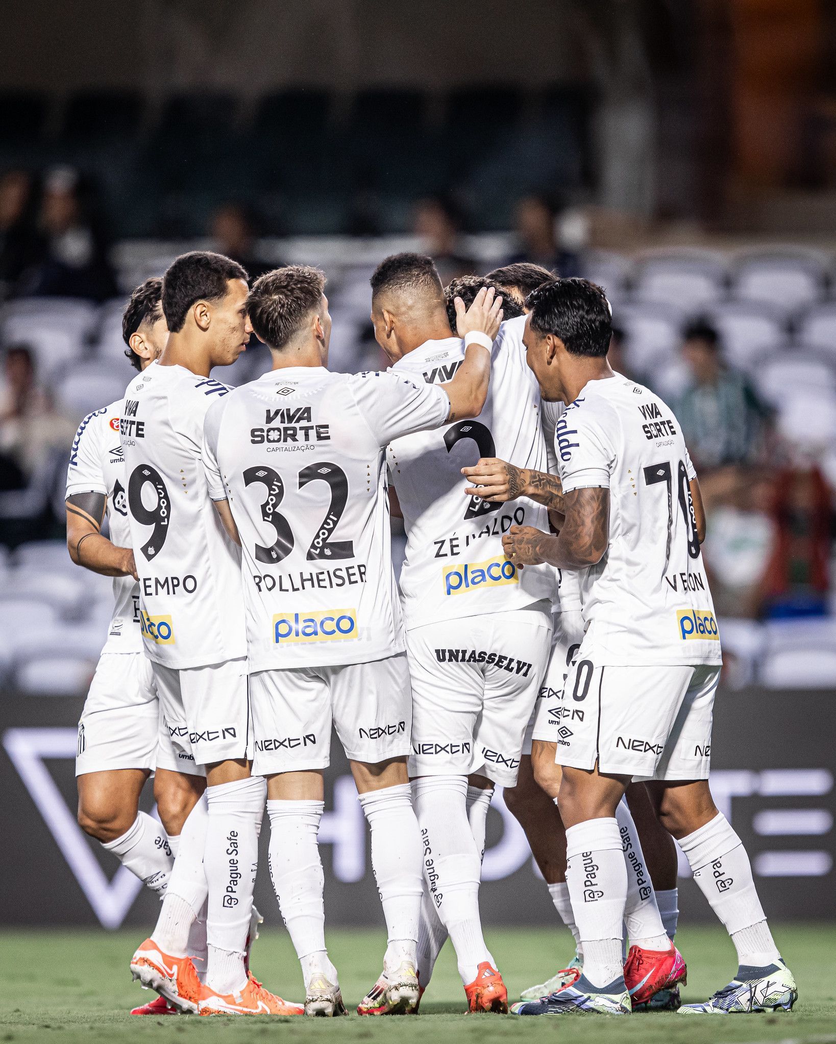 Guia do Brasileirão 2025: elenco, tabela e objetivos do Santos