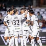 Guia do Brasileirão 2025: elenco, tabela e objetivos do Santos