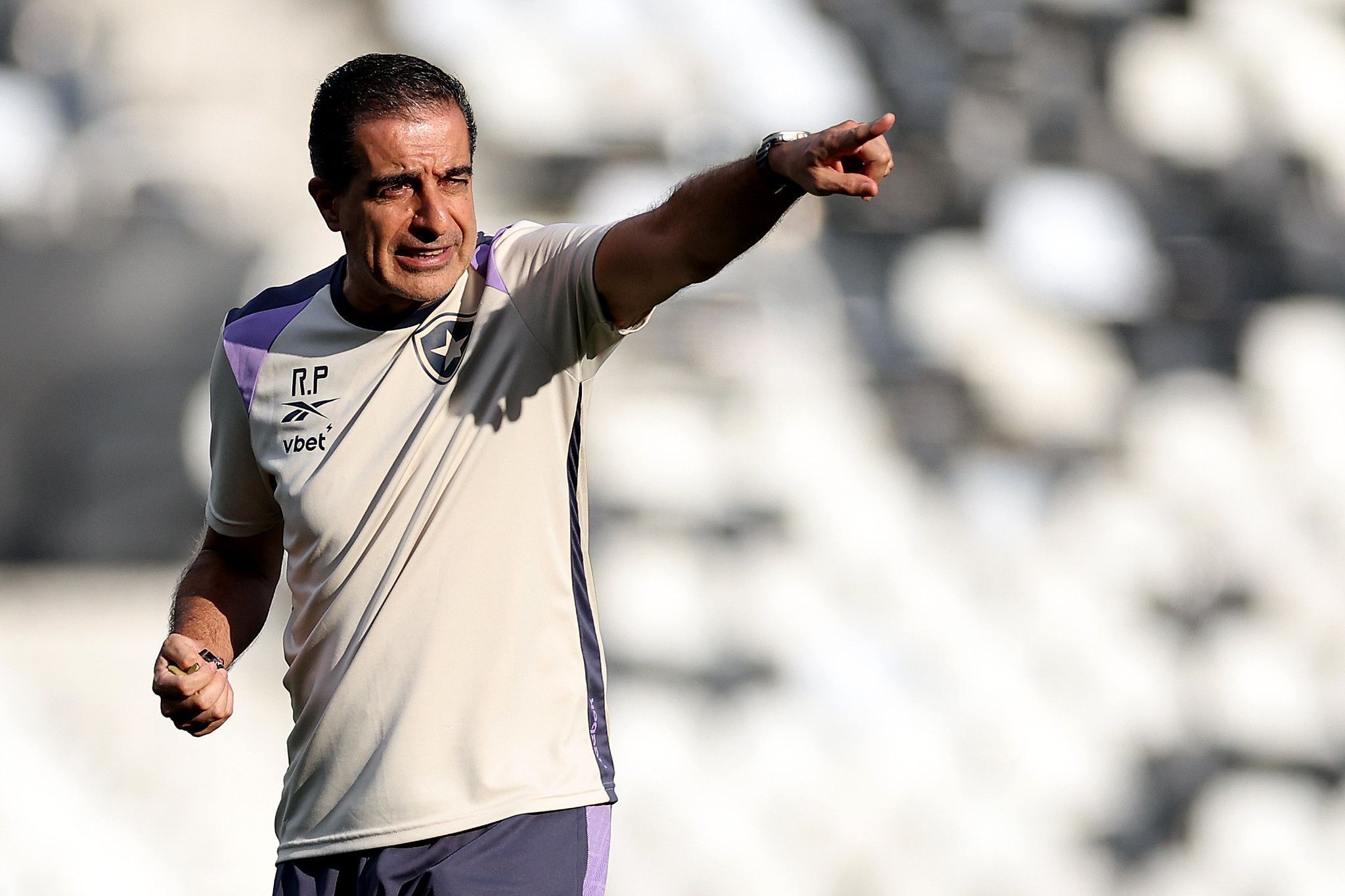 Força máxima: veja provável escalação do Botafogo contra o Palmeiras