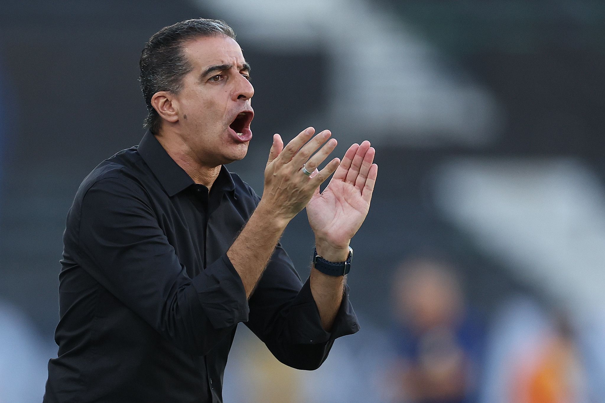 Renato Paiva projeta estreia do Botafogo: 'Será difícil para o Palmeiras'
