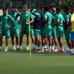 Classificado, Palmeiras recebe Bolívar e pode descansar titulares na Libertadores