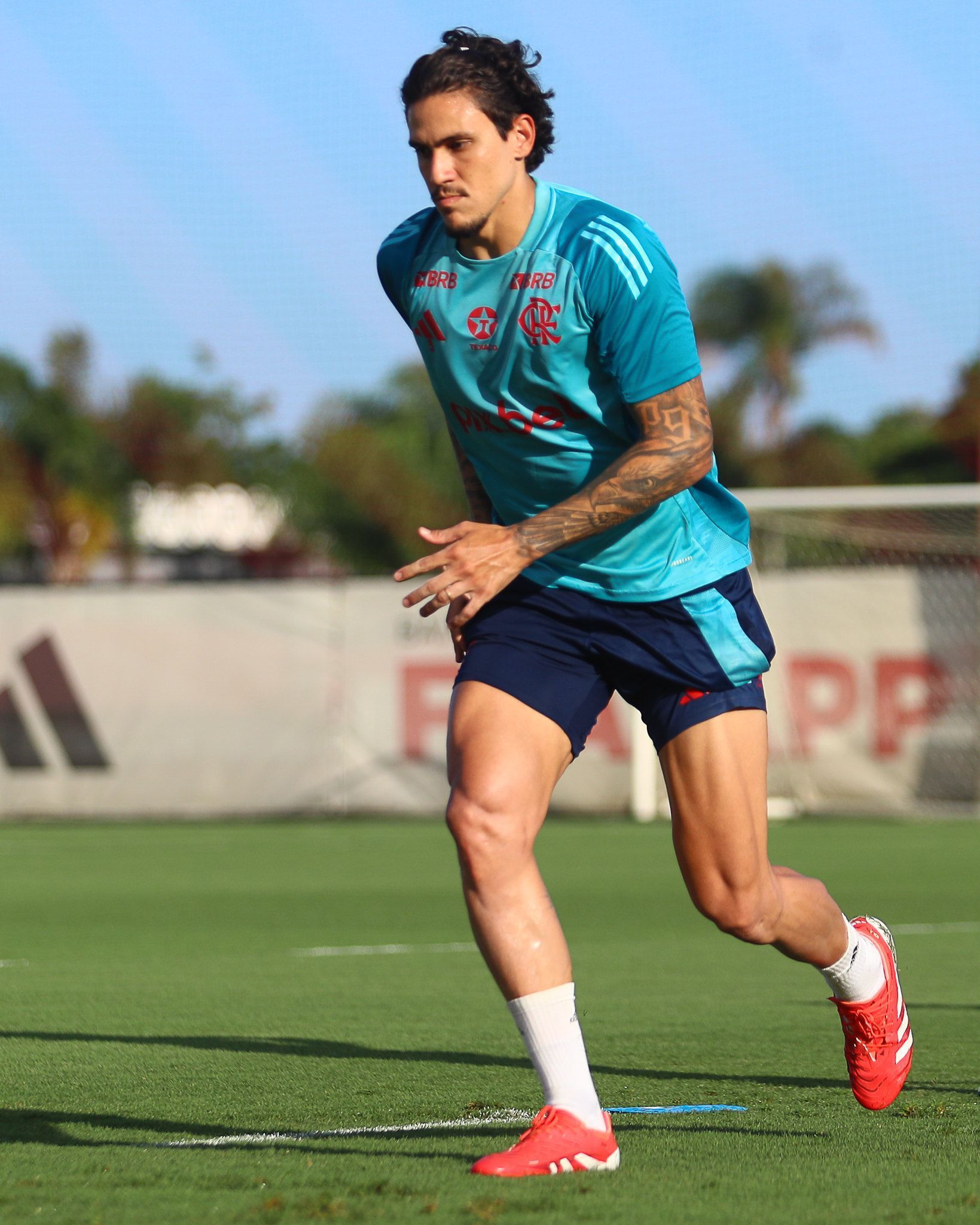 Filipe Luís revela prazo de retorno para contar com Pedro no Flamengo