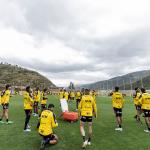 Atlético perde titular para estreia na Sul-Americana; saiba motivo