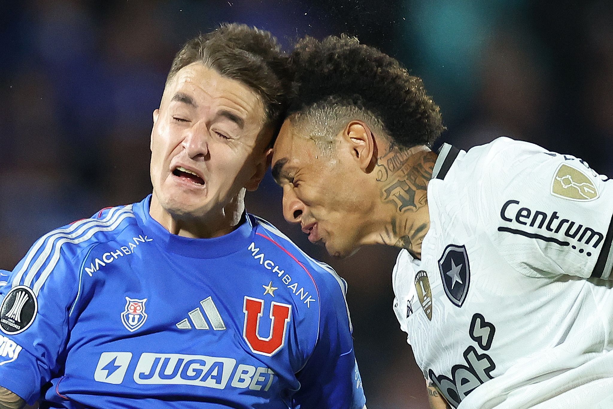 Botafogo perde atacante para jogo da Libertadores; veja opções de Paiva