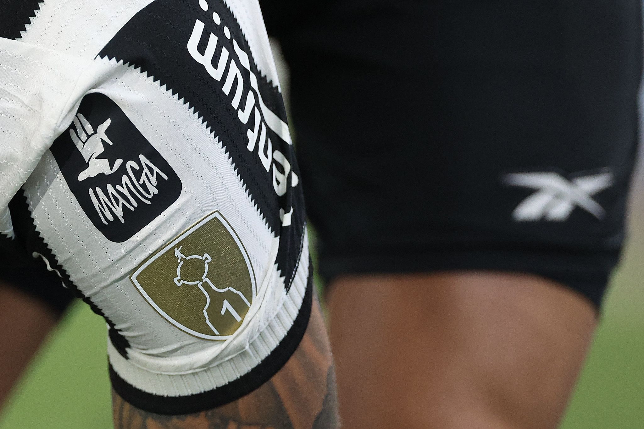 Botafogo sobe posições no ranking da Conmebol e tem pote definido na Libertadores