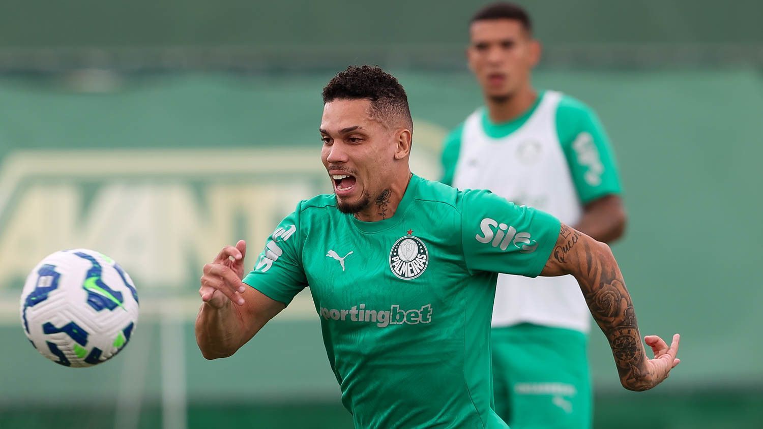 Paulinho, do Palmeiras, aponta dificuldade em jogo contra o Inter pelo Brasileiro