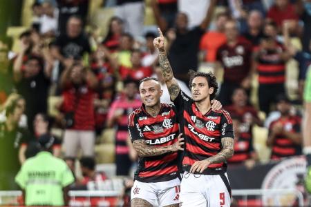 Pedro, do Flamengo