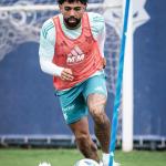 Cruzeiro visita Palestino em busca de recuperação na Copa Sul-Americana