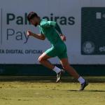 Flaco López, atacante do Palmeiras, se envolve em acidente de trânsito