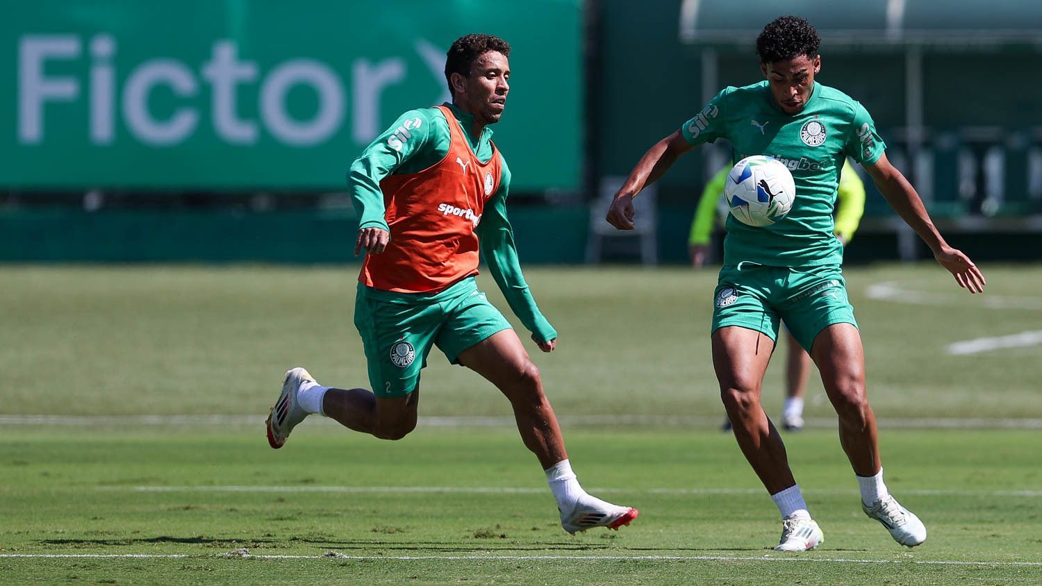 Titular do Palmeiras avança em recuperação e se aproxima de retorno