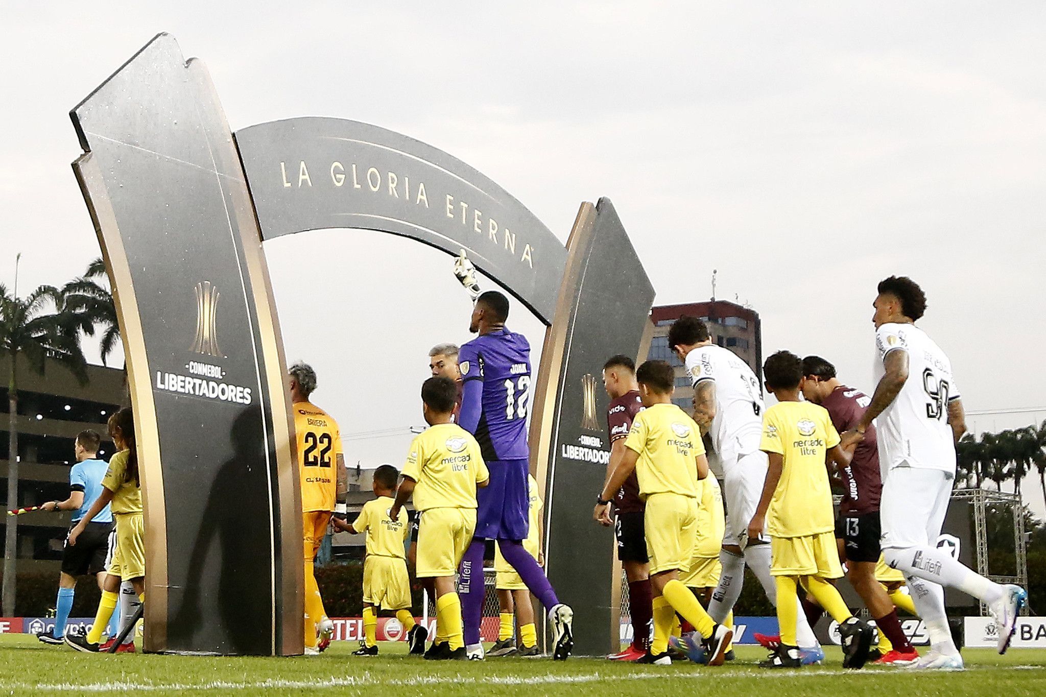 O que o Botafogo precisa para avançar na Libertadores? Entenda o cenário