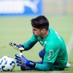 No mercado: jogadores que podem deixar o Bahia na janela