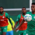 Palmeiras recebe Sporting Cristal em despedida de Estêvão do Allianz Parque