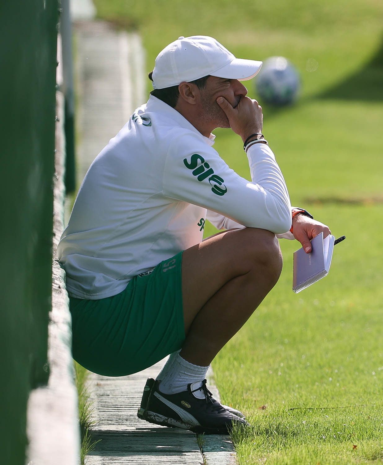 Escalação do Palmeiras: veja provável time de Abel para enfrentar o Cruzeiro