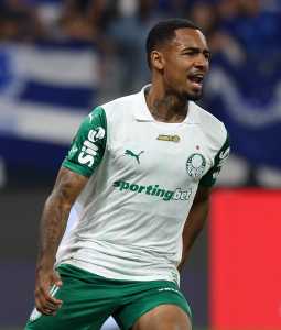 Allan, atacante do Palmeiras, comemora gol no Brasileirão 2025