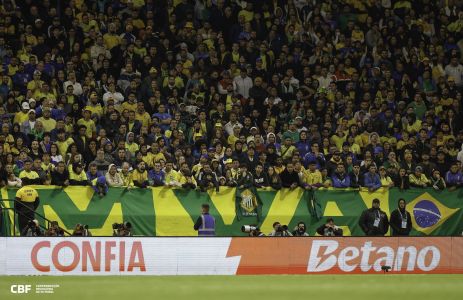 Torcida brasileira durante jogo da Seleção, em São Paulo