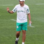 Abel 'inspeciona' gramado antes de estreia do Palmeiras no Mundial de Clubes