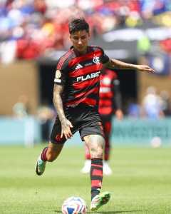 Pulgar pode desfalcar o Flamengo por tempo indeterminado