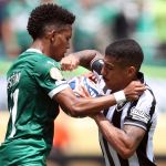 Dirigente do Botafogo reage à eliminação e surpreende com torcida no Mundial